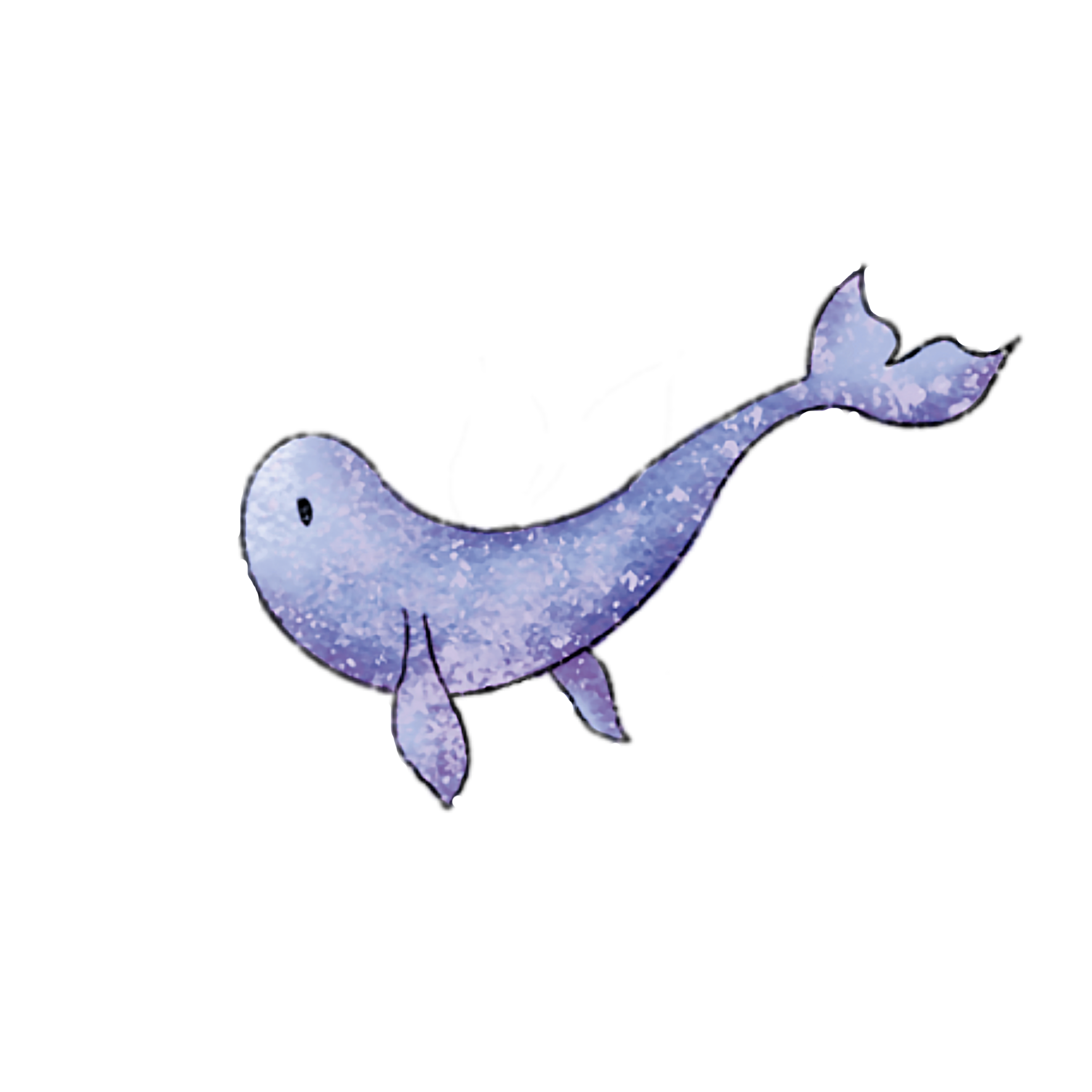whale site